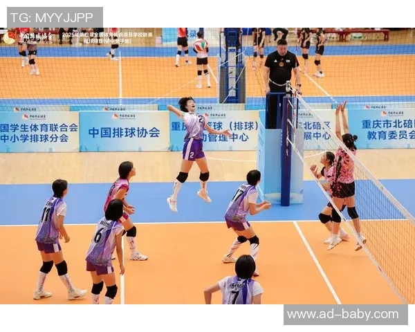 深度对话王伟分享排球人生的奋斗与梦想之路